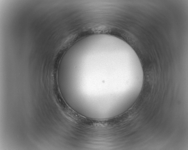 X0000063490690200602101833