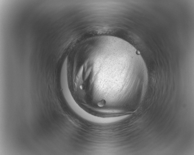 X0000063490691200602101833