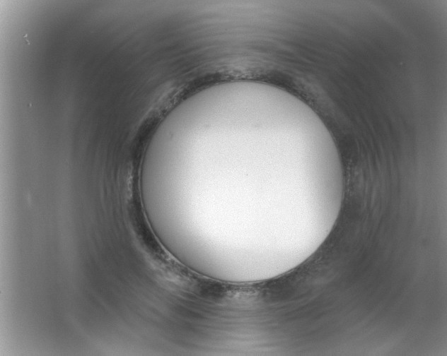 X0000063490694200602101833