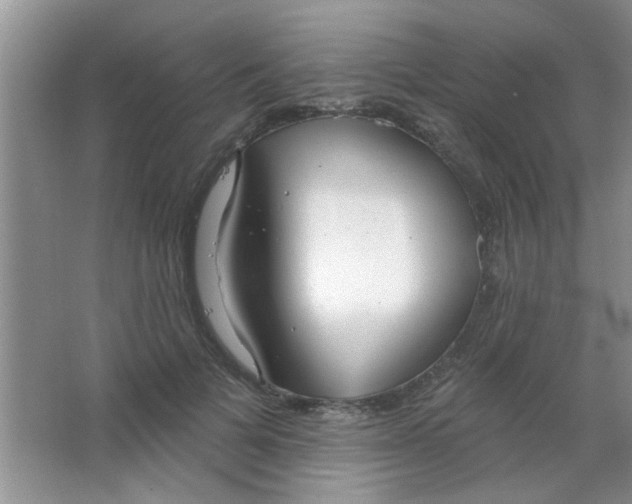 X0000063490697200602101833