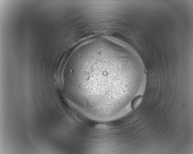 X0000063490699200602101833