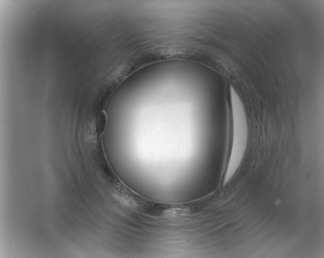 X0000063490700200602101833