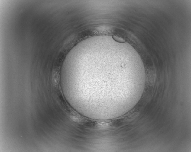 X0000063490701200602101833