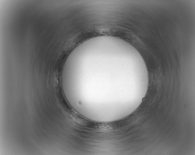 X0000063490702200602101833