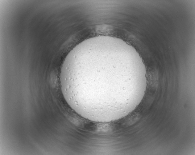 X0000063490705200602101833