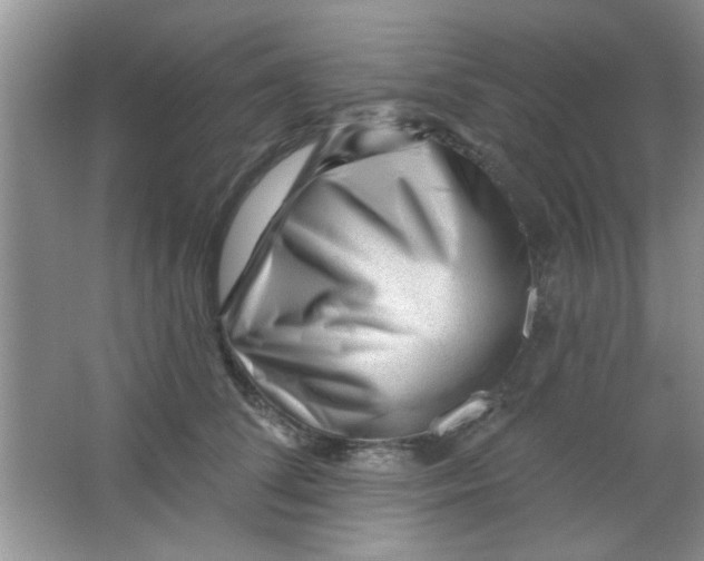 X0000063490708200602101833