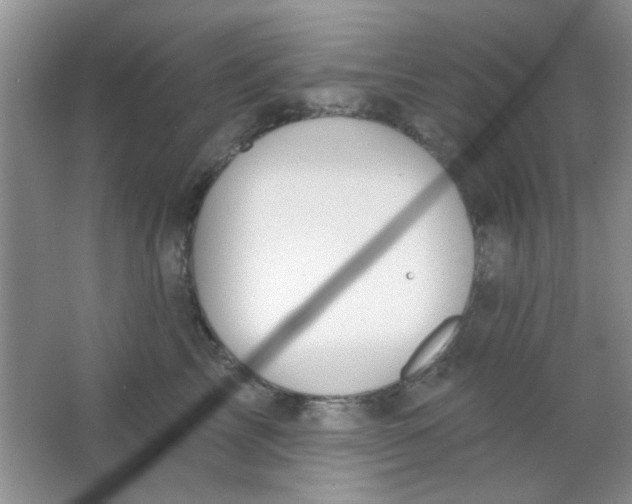 X0000063490713200602101833