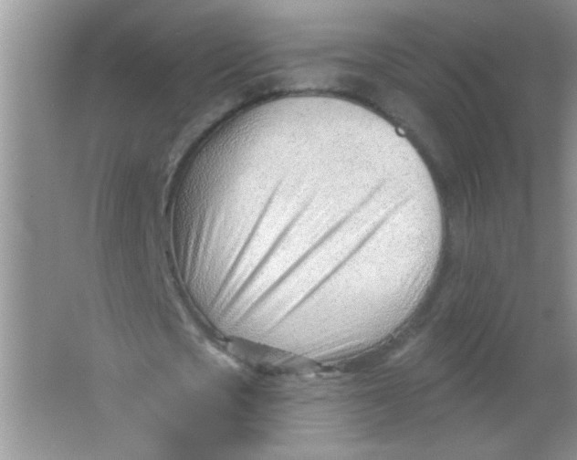 X0000063490721200602101832