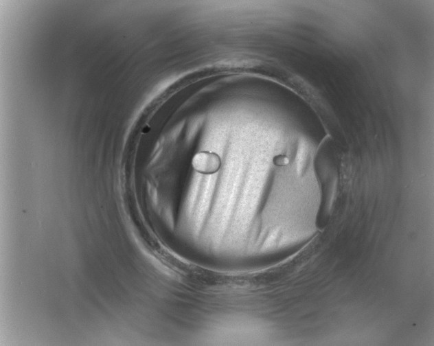 X0000063490726200602101832