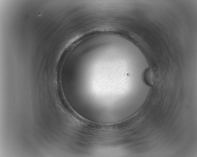 X0000063490727200602101832