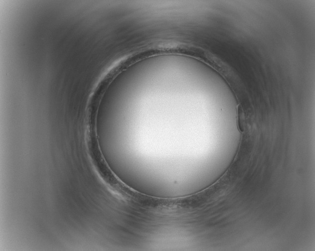 X0000063490728200602101832