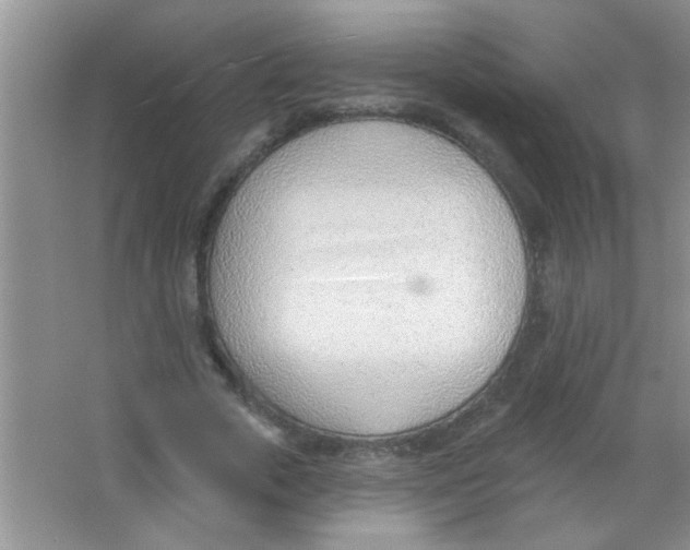 X0000063490729200602101832