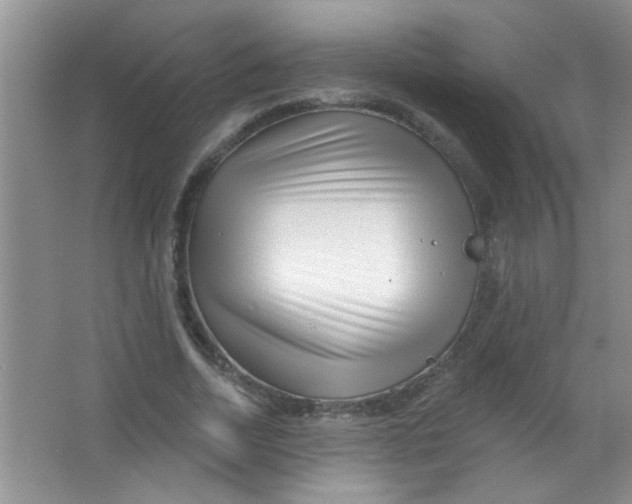 X0000063490730200602101832