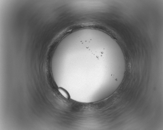 X0000063490732200602101832