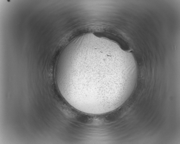 X0000063490737200602101832