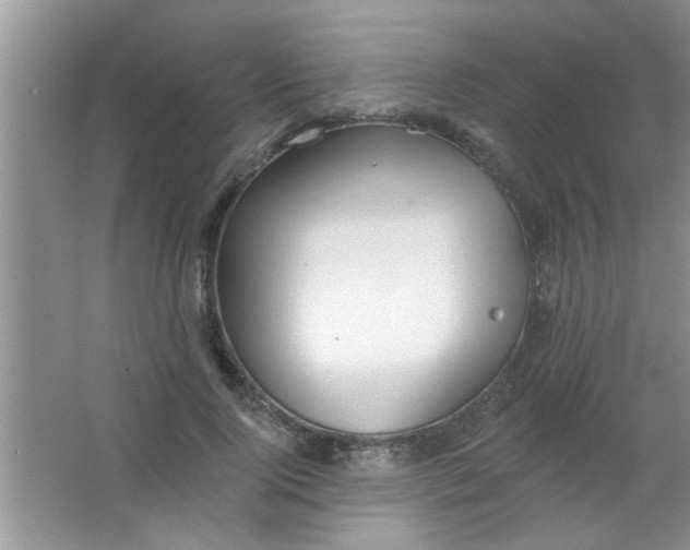 X0000063490740200602101832