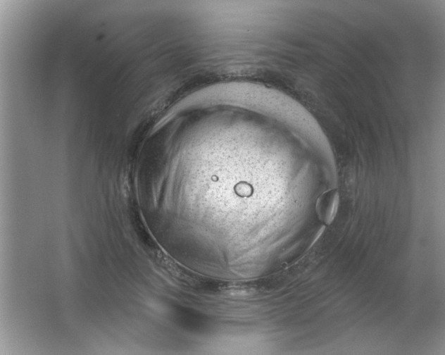 X0000063490746200602101833