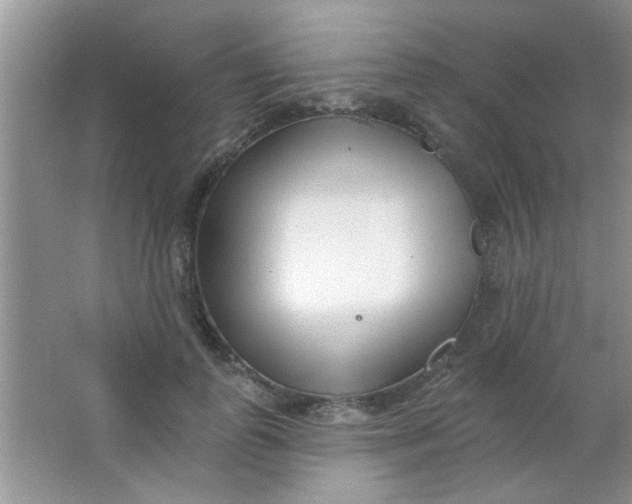 X0000063490747200602101833