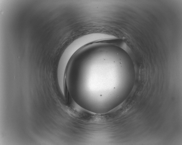 X0000063490750200602101833