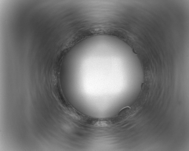 X0000063490751200602101833