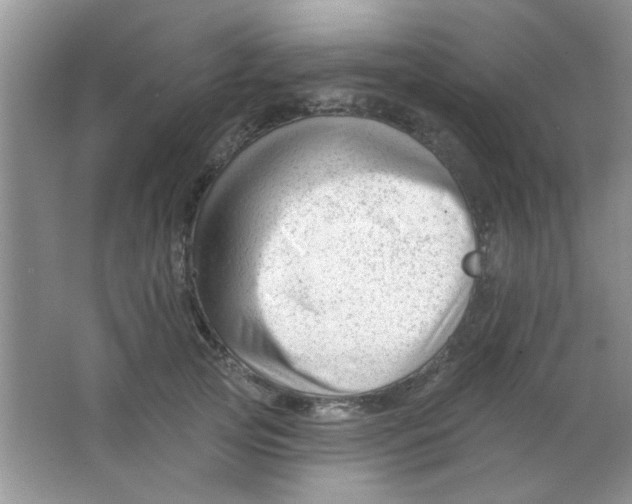 X0000063490753200602101833