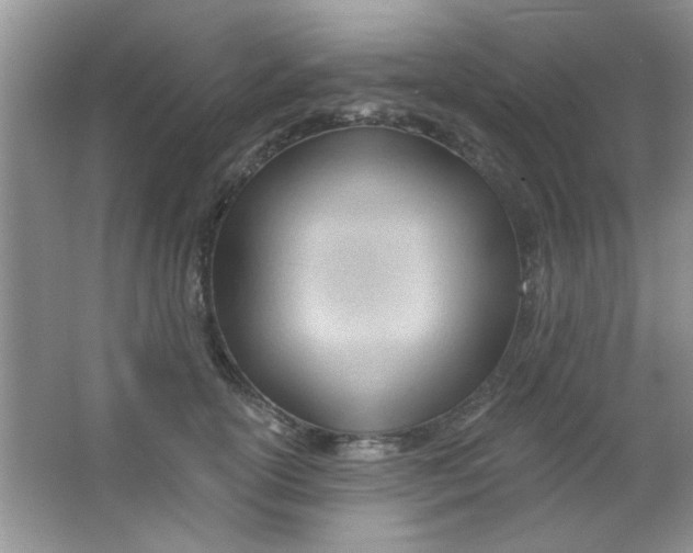 X0000063490754200602101833