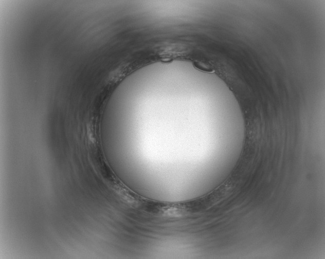 X0000063490755200602101833