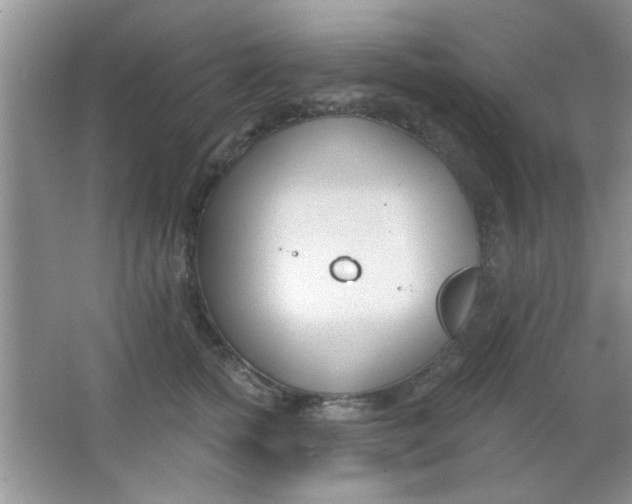 X0000063490758200602101833