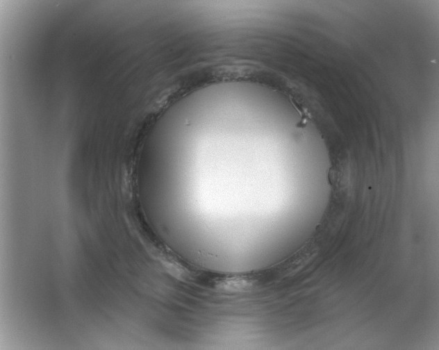 X0000063490759200602101833