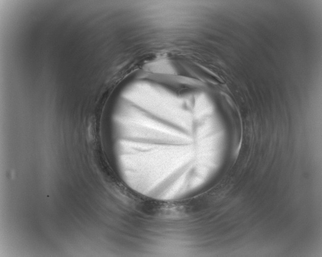 X0000063490760200602101833