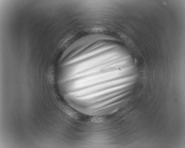 X0000063490762200602101833