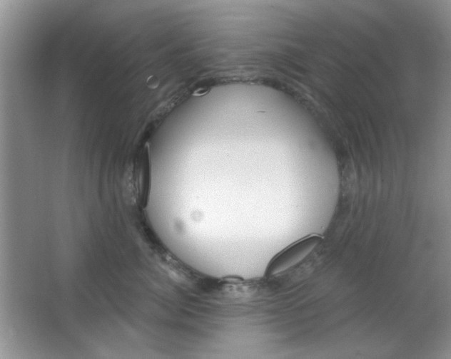 X0000063490764200602101833