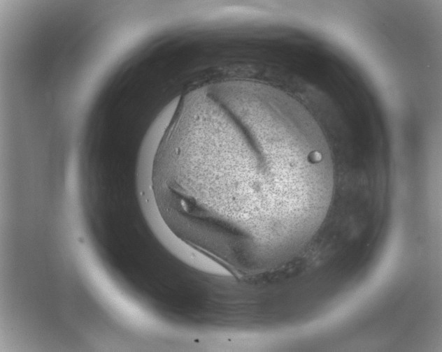 X0000063490765200602101833