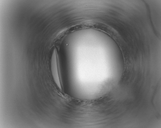 X0000063490773200602101832