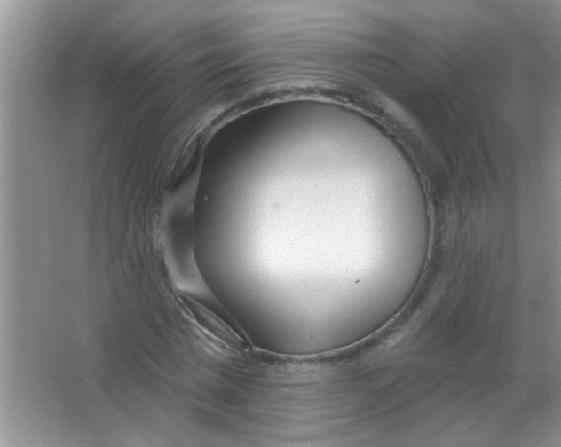 X0000063490777200602101832