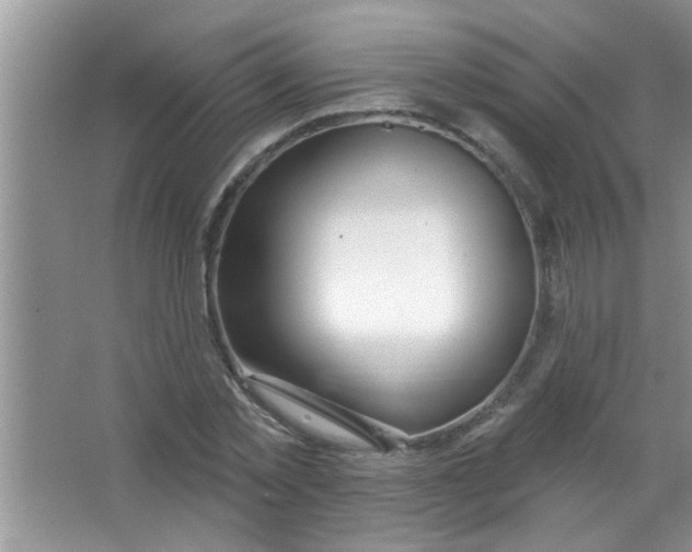 X0000063490781200602101832