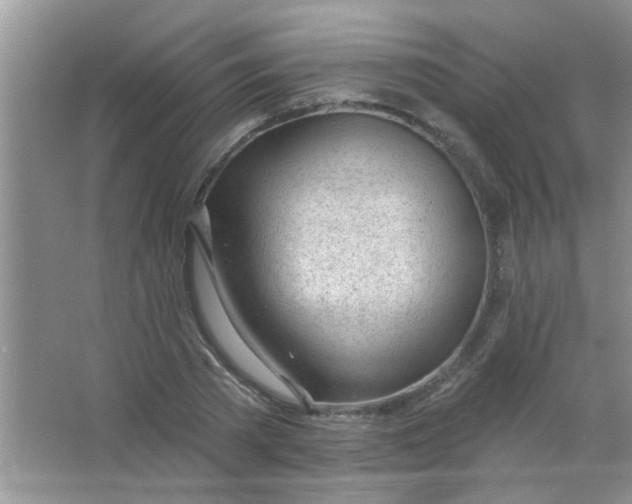 X0000063490785200602101832