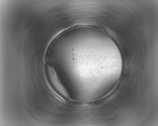 X0000063490787200602101832