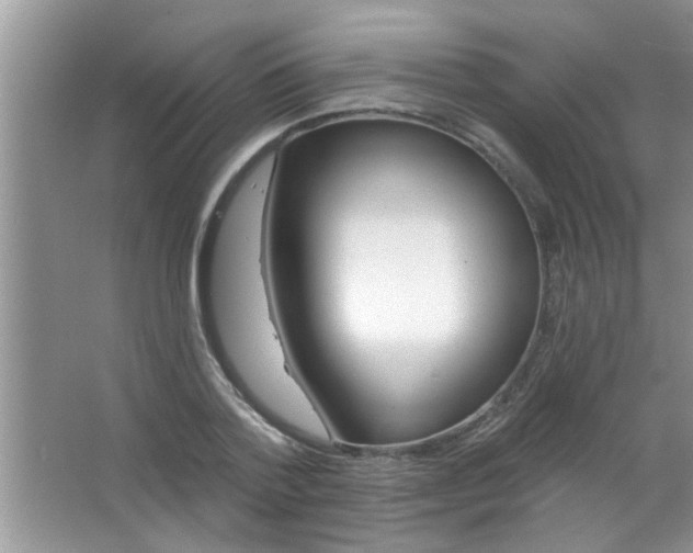 X0000063490788200602101832