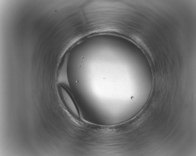 X0000063490789200602101832