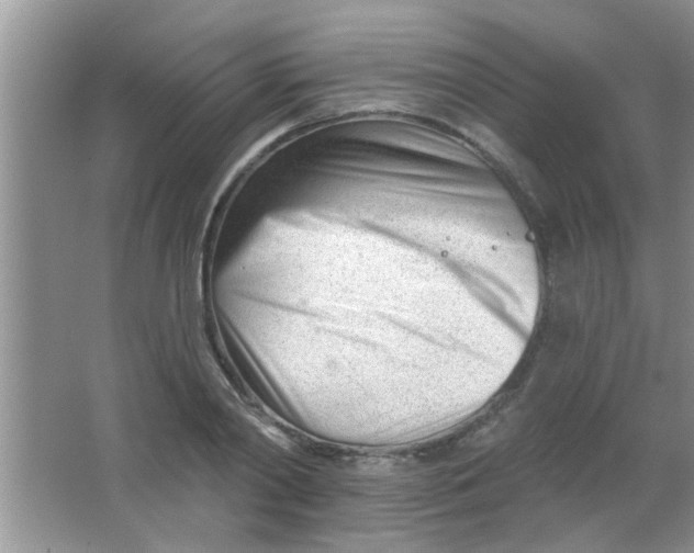 X0000063490790200602101832