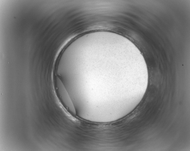 X0000063490796200602101832