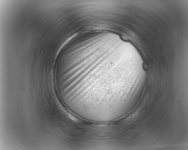 X0000063490798200602101832