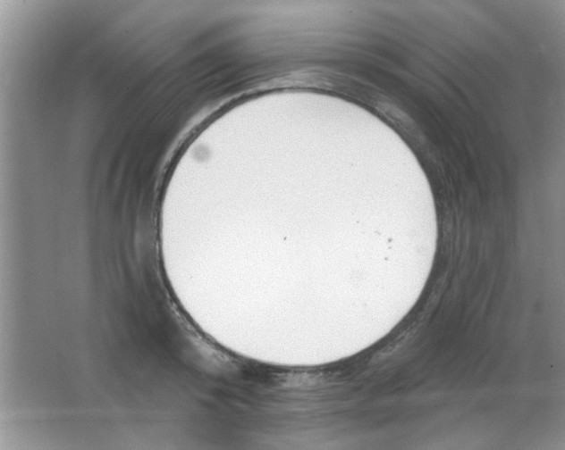 X0000063490800200602101832