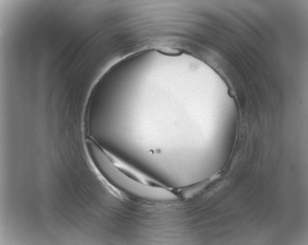 X0000063490803200602101832