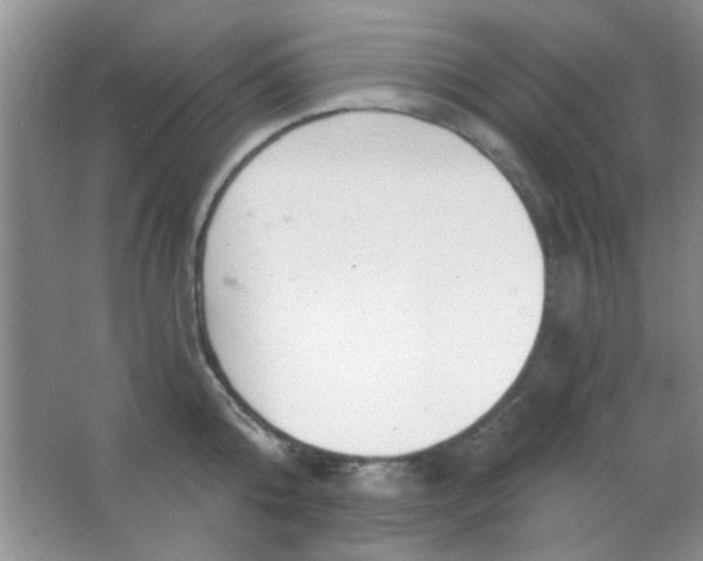 X0000063490808200602101831