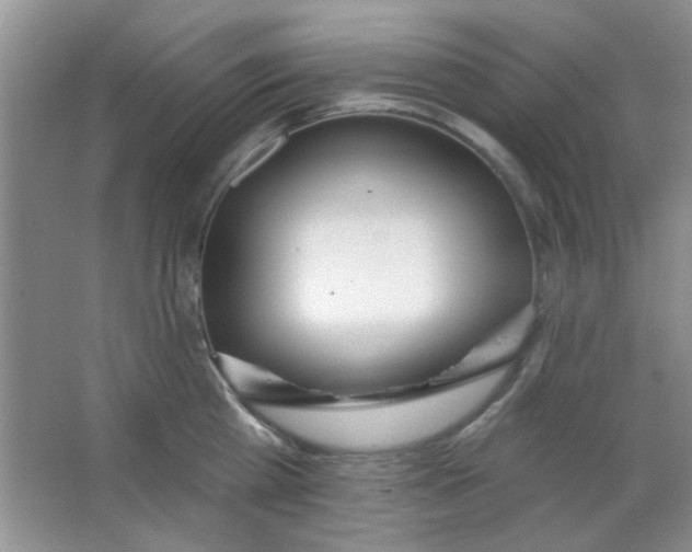 X0000063490809200602101831