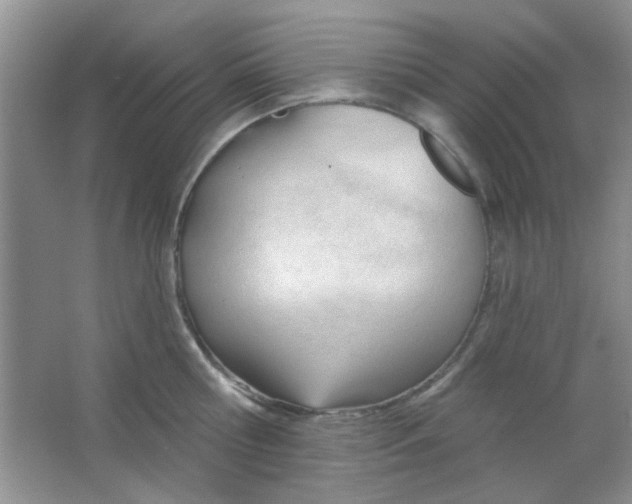 X0000063490810200602101831