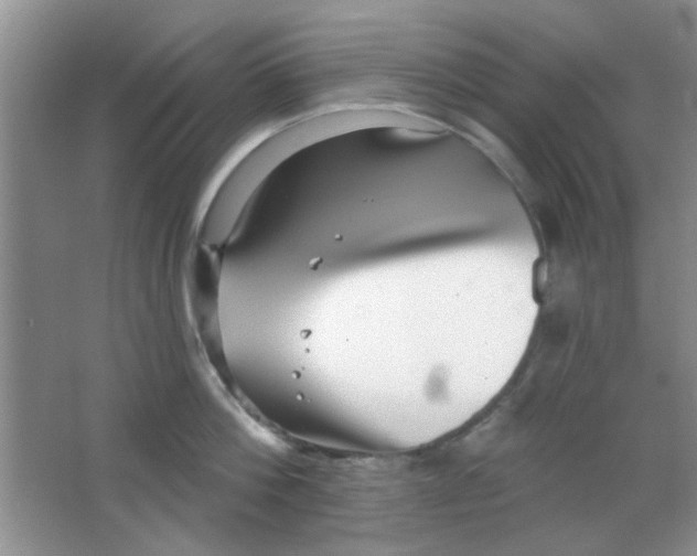 X0000063490812200602101831