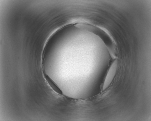 X0000063490815200602101831